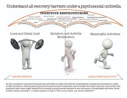 Download 1 Reconciling Biomechanics With Pain Science Workshop