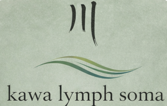 1000077392 1 HOLISTIC LYMPHATIC & MYOFASCIAL REMEDIAL THERAPY MELBOURNE CBD